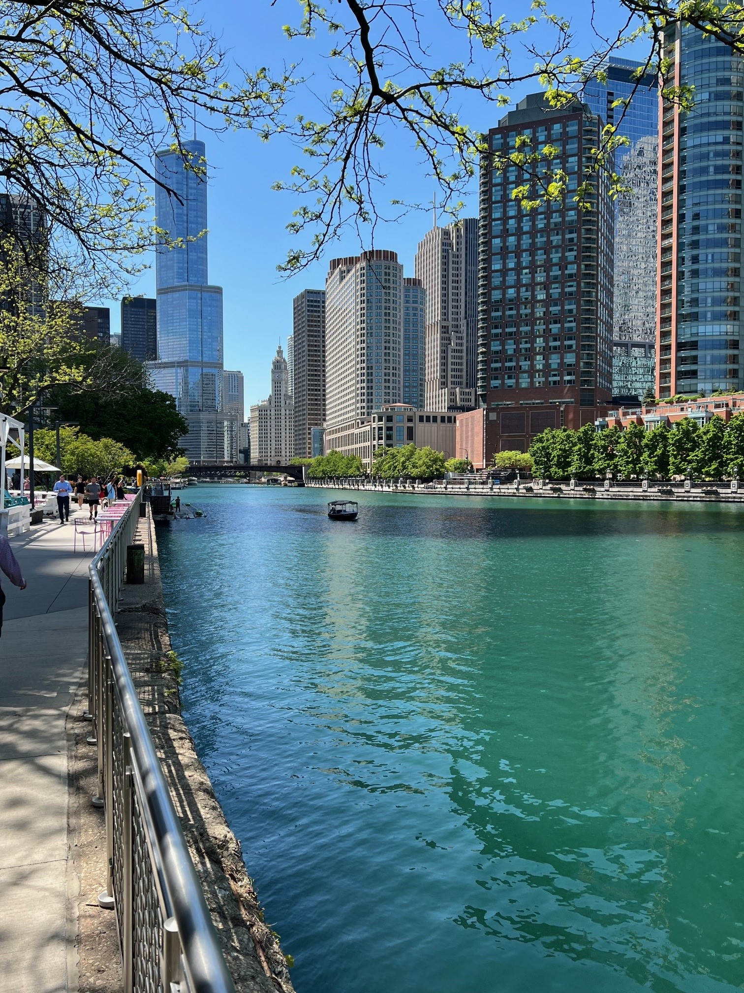 Chicago | The D&O Diary